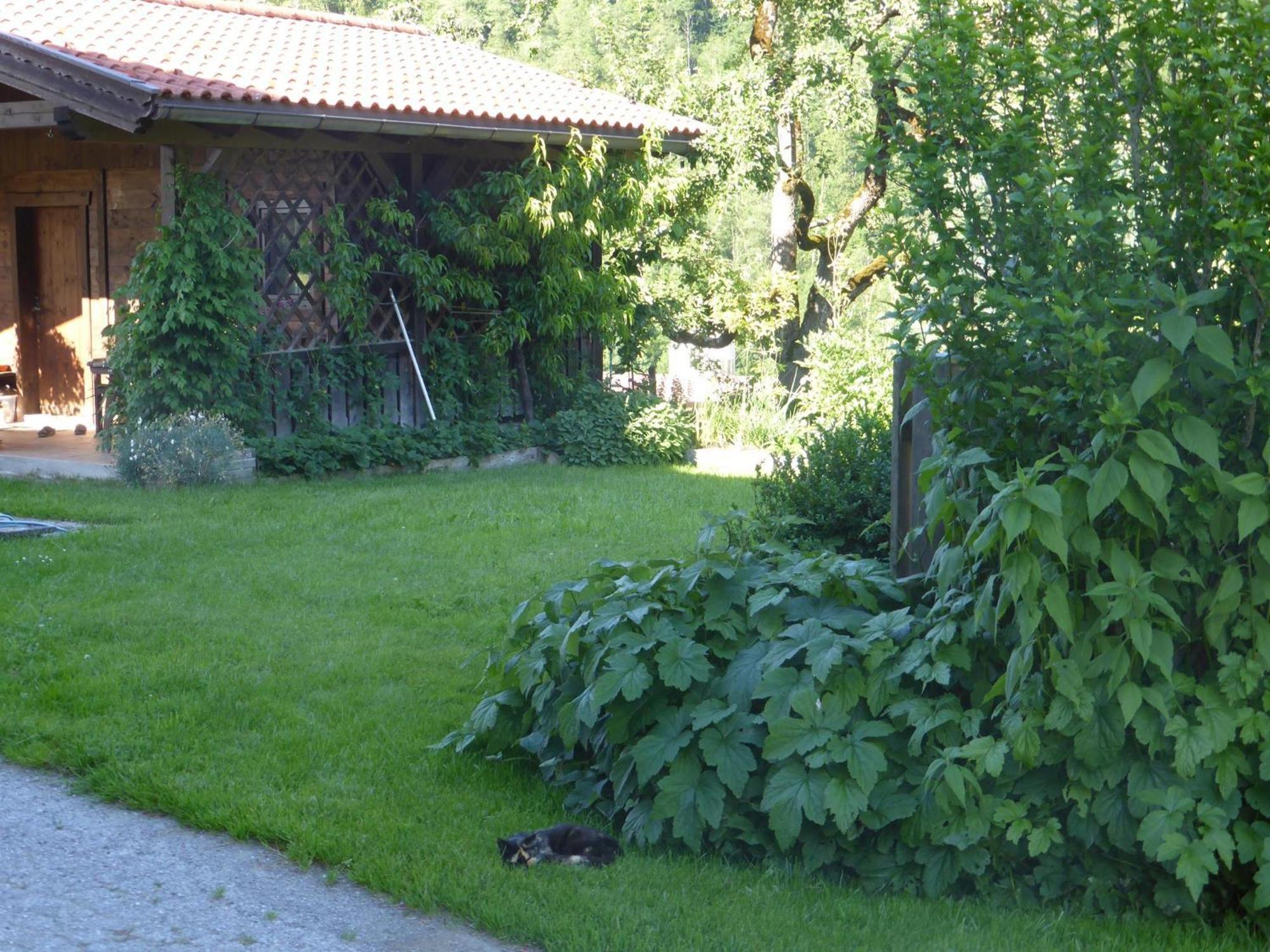 Schwaighof Villa Oberau Exterior photo